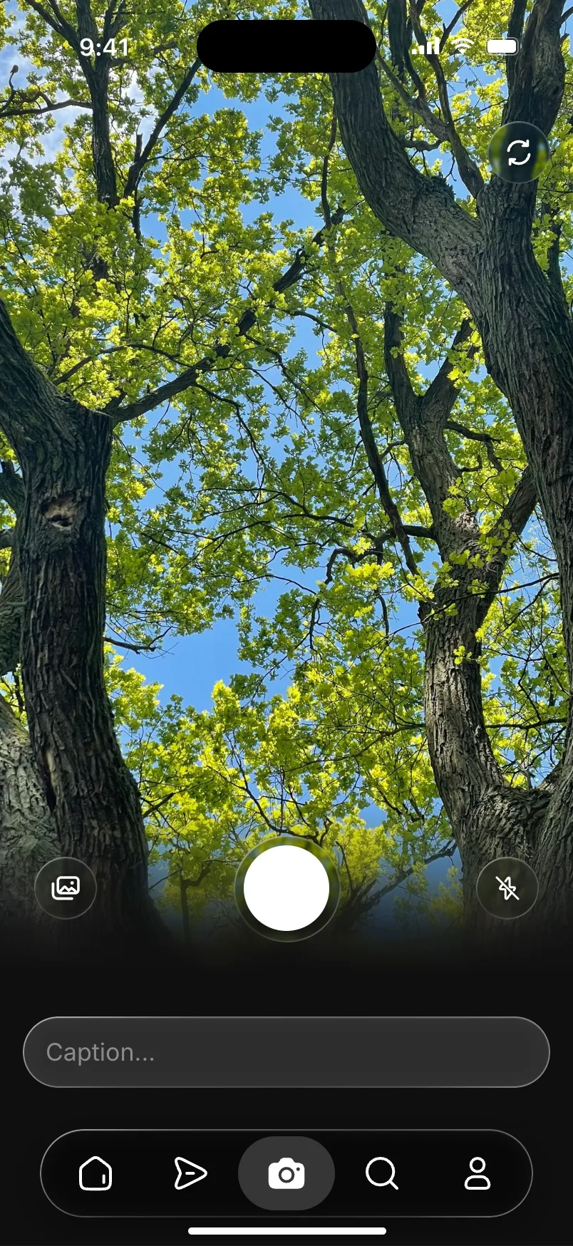 The camera: a live viewfinder with the shutter, library and flash