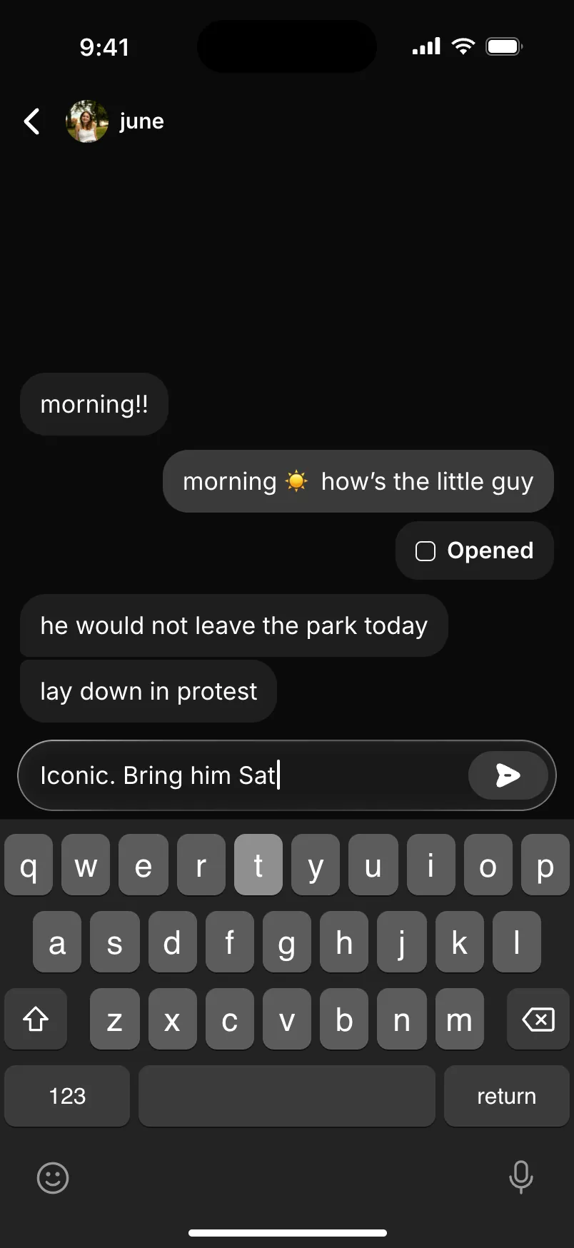A one-on-one chat, typing a reply